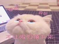中体竞赛管理有限公司北京分公司