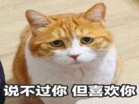 中体竞赛管理有限公司北京分公司