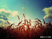 中体竞赛管理有限公司北京分公司