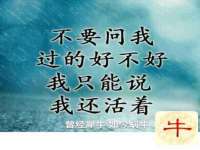 中体竞赛管理有限公司北京分公司