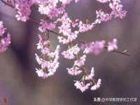 中体竞赛管理有限公司北京分公司