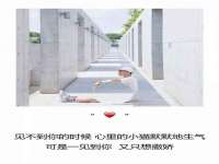 中体竞赛管理有限公司北京分公司