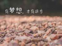 中体竞赛管理有限公司北京分公司