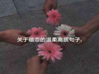 中体竞赛管理有限公司北京分公司