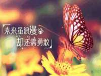 中体竞赛管理有限公司北京分公司