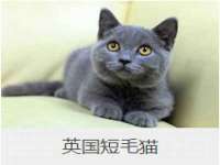 中体竞赛管理有限公司北京分公司