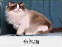 中体竞赛管理有限公司北京分公司
