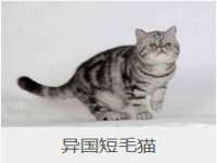 中体竞赛管理有限公司北京分公司
