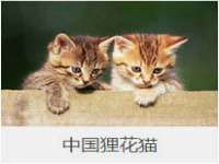 中体竞赛管理有限公司北京分公司