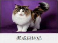 中体竞赛管理有限公司北京分公司