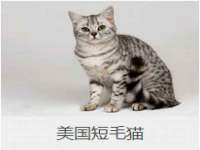 中体竞赛管理有限公司北京分公司