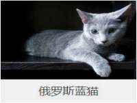 中体竞赛管理有限公司北京分公司