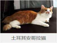 中体竞赛管理有限公司北京分公司
