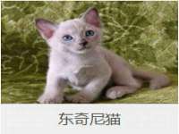 中体竞赛管理有限公司北京分公司