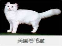 中体竞赛管理有限公司北京分公司