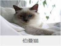中体竞赛管理有限公司北京分公司