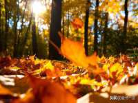 中体竞赛管理有限公司北京分公司