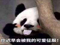 中体竞赛管理有限公司北京分公司