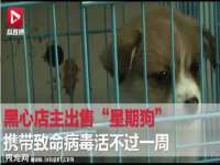 中体竞赛管理有限公司北京分公司