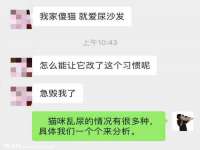 中体竞赛管理有限公司北京分公司