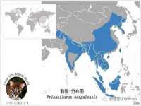 中体竞赛管理有限公司北京分公司