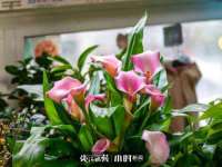 中体竞赛管理有限公司北京分公司