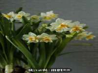 中体竞赛管理有限公司北京分公司