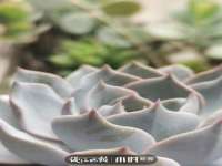 中体竞赛管理有限公司北京分公司