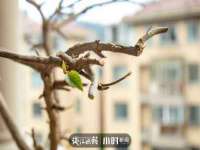 中体竞赛管理有限公司北京分公司