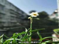 中体竞赛管理有限公司北京分公司