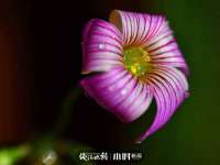 中体竞赛管理有限公司北京分公司