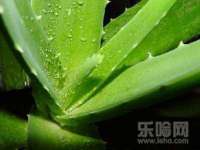 中体竞赛管理有限公司北京分公司