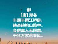 中体竞赛管理有限公司北京分公司