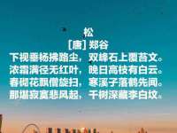 中体竞赛管理有限公司北京分公司