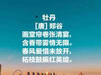 中体竞赛管理有限公司北京分公司