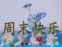中体竞赛管理有限公司北京分公司