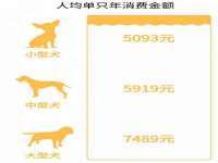 中体竞赛管理有限公司北京分公司