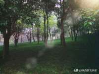 中体竞赛管理有限公司北京分公司