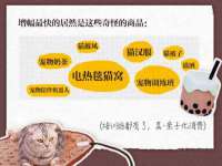 中体竞赛管理有限公司北京分公司