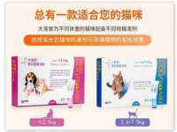 中体竞赛管理有限公司北京分公司