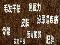 中体竞赛管理有限公司北京分公司