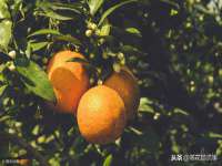 中体竞赛管理有限公司北京分公司
