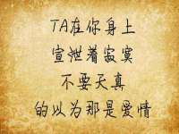中体竞赛管理有限公司北京分公司