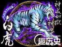 中体竞赛管理有限公司北京分公司