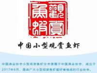 中体竞赛管理有限公司北京分公司