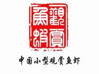 中体竞赛管理有限公司北京分公司