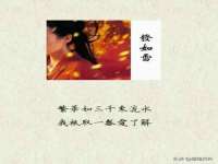 中体竞赛管理有限公司北京分公司