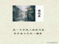 中体竞赛管理有限公司北京分公司