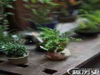 中体竞赛管理有限公司北京分公司