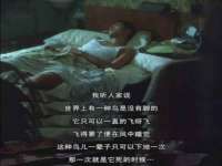 中体竞赛管理有限公司北京分公司